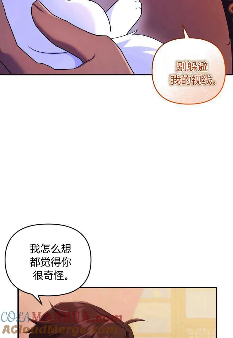 成为苏尔坦珍爱的猫咪 第14话 第17页