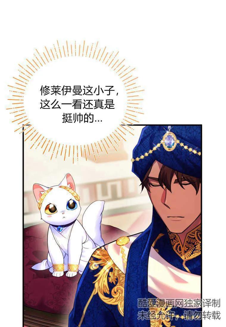 成为苏尔坦珍爱的猫咪 第14话 第48页