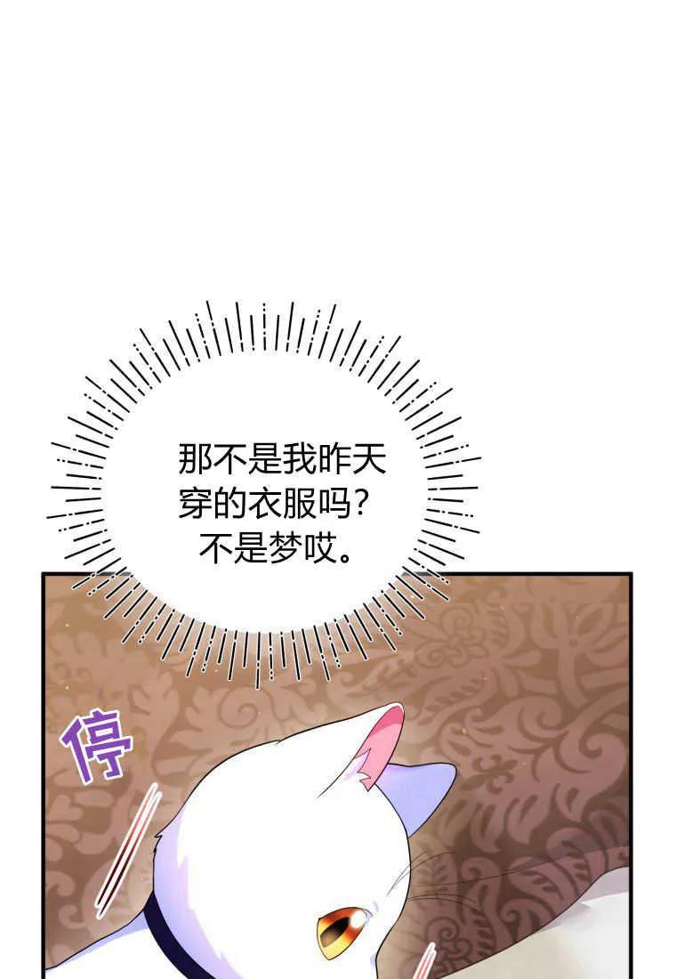 成为苏尔坦珍爱的猫咪 第14话 第8页