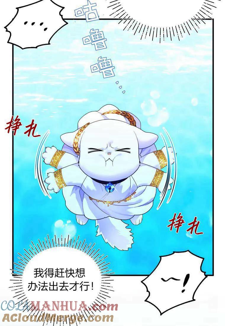 成为苏尔坦珍爱的猫咪 第14话 第101页