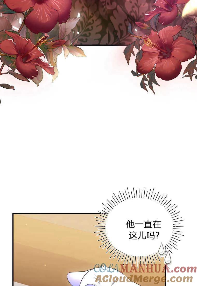 成为苏尔坦珍爱的猫咪 第14话 第13页