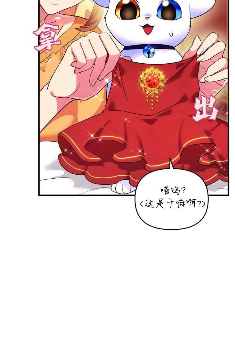 成为苏尔坦珍爱的猫咪 第14话 第39页