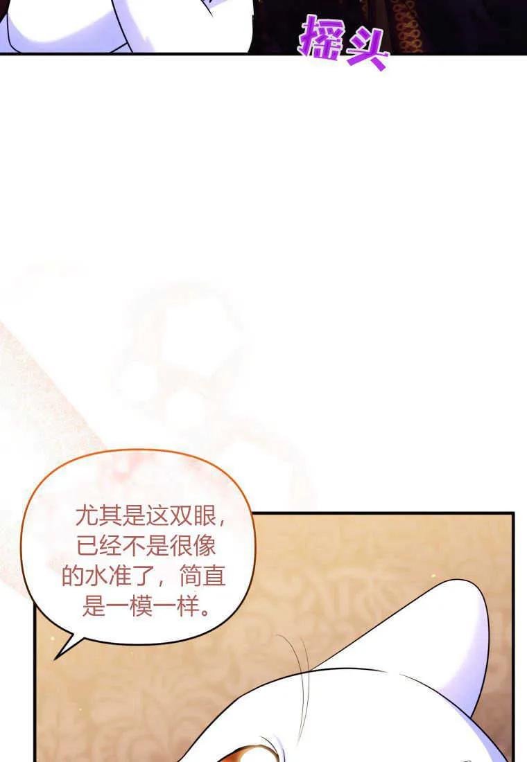 成为苏尔坦珍爱的猫咪 第14话 第20页