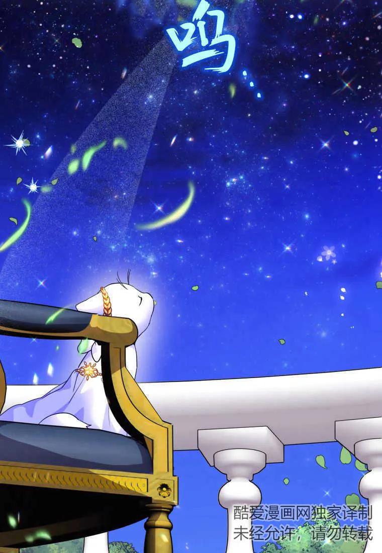 成为苏尔坦珍爱的猫咪 第14话 第82页