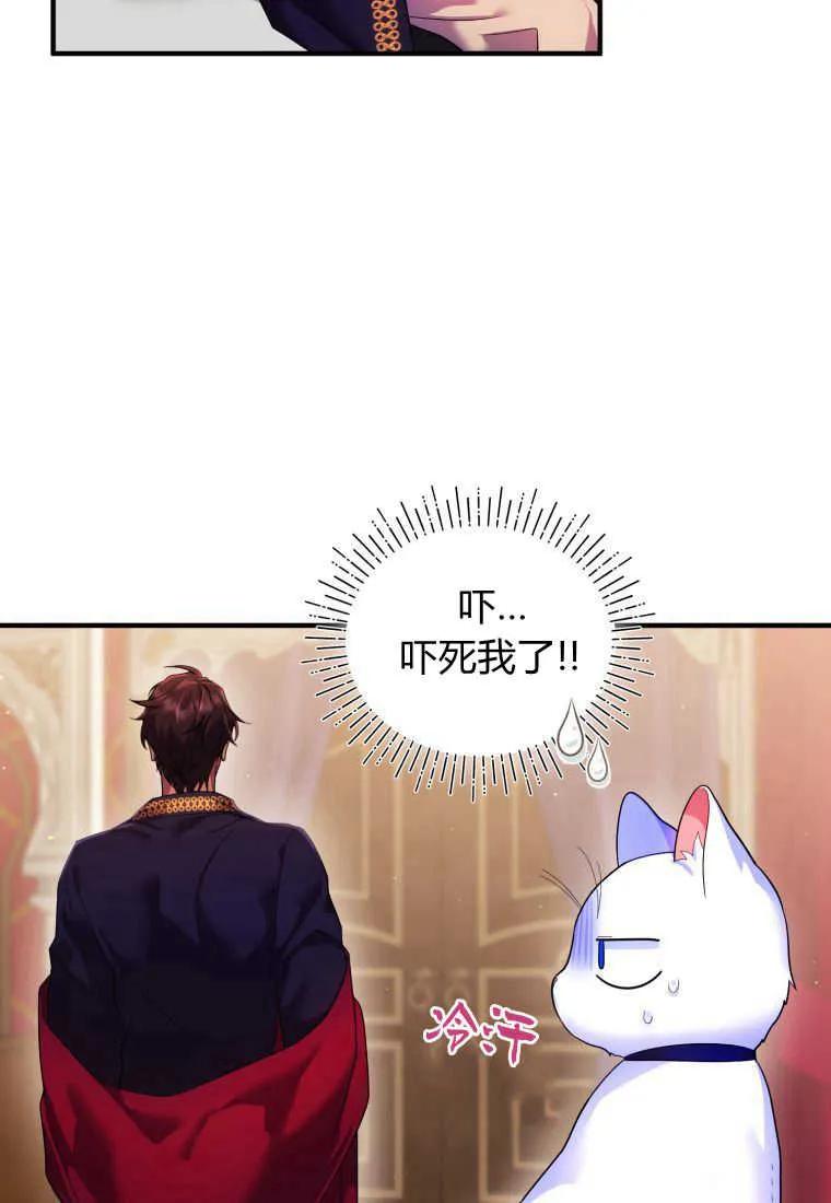 成为苏尔坦珍爱的猫咪 第14话 第28页