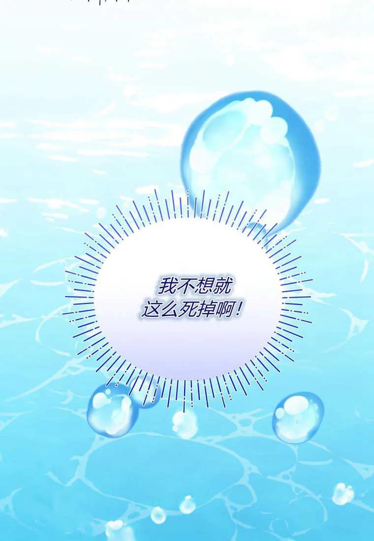 成为苏尔坦珍爱的猫咪 第14话 第102页