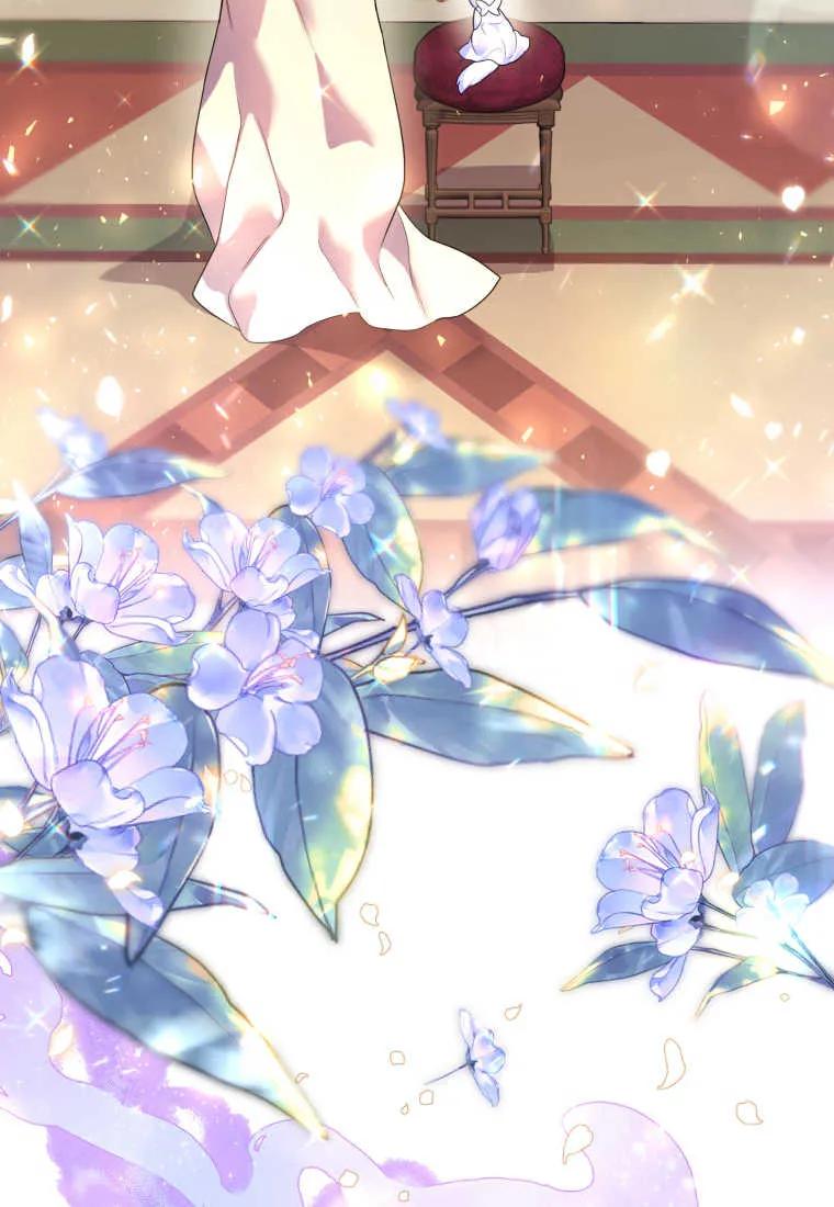 成为苏尔坦珍爱的猫咪 第14话 第43页