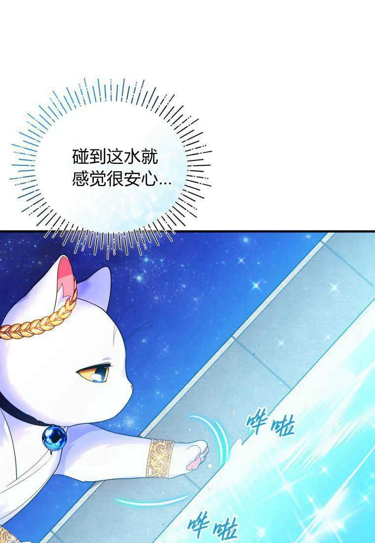 成为苏尔坦珍爱的猫咪 第14话 第94页