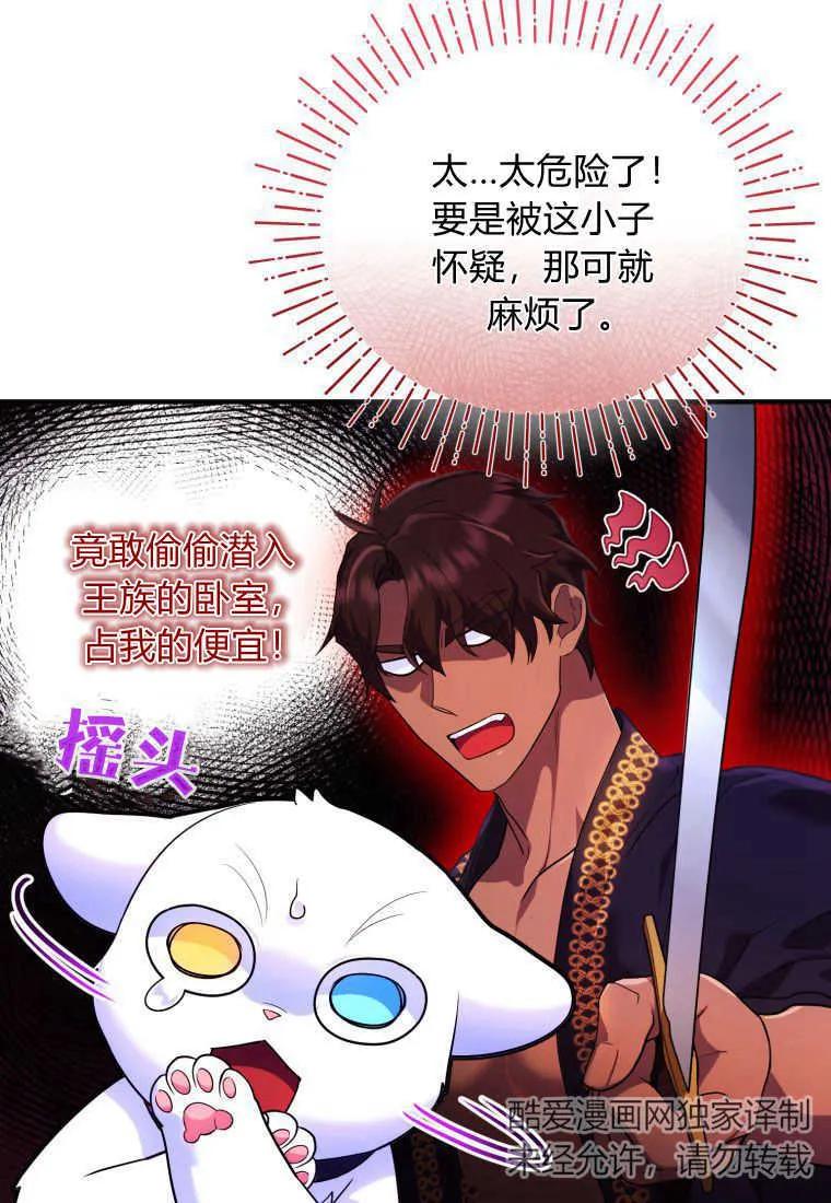 成为苏尔坦珍爱的猫咪 第14话 第19页