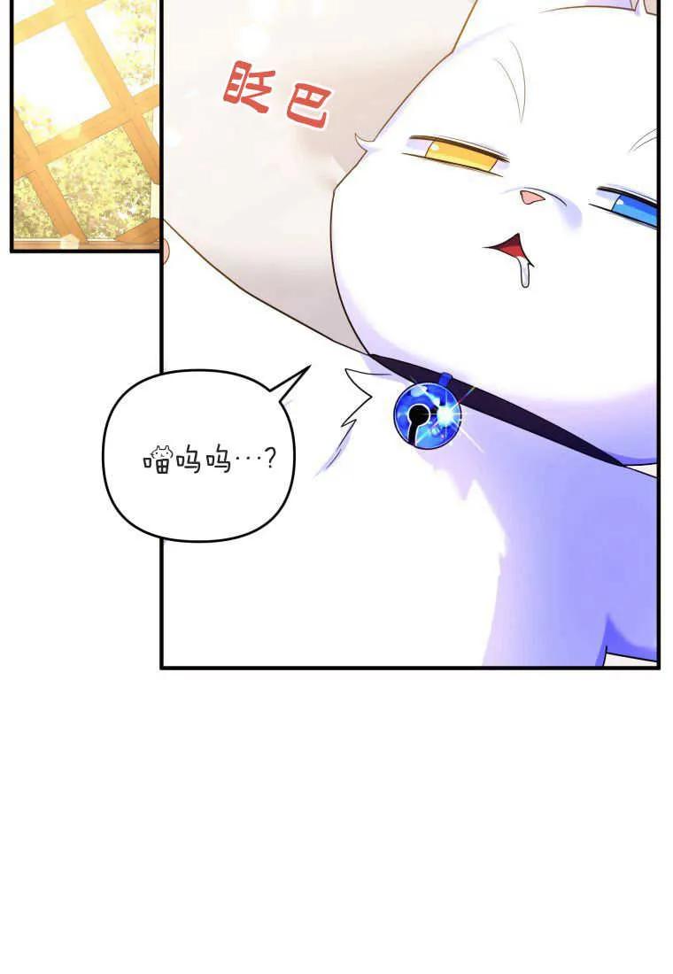 成为苏尔坦珍爱的猫咪 第14话 第2页