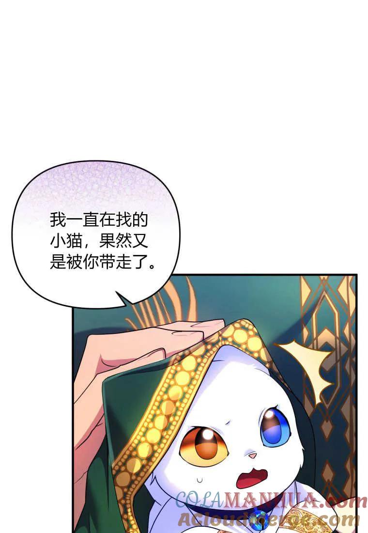 成为苏尔坦珍爱的猫咪 第15话 第29页