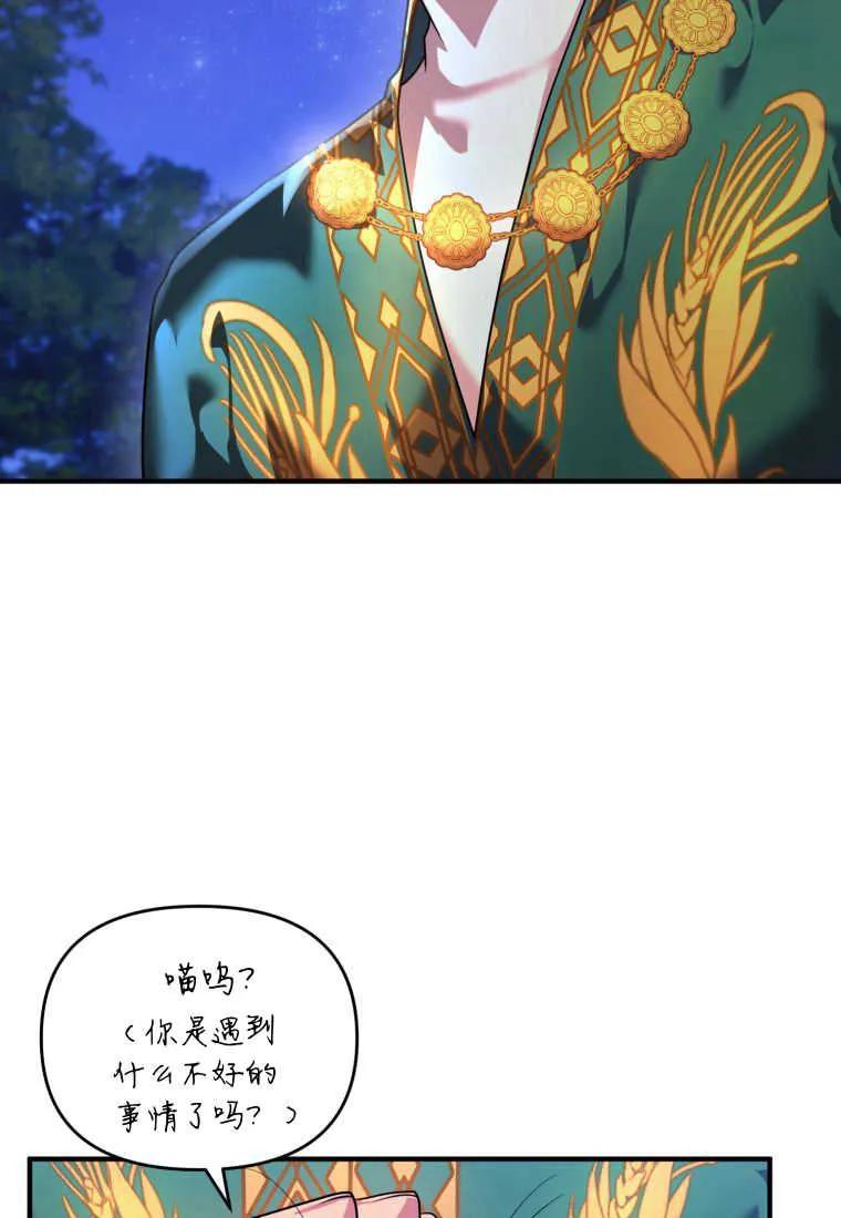 成为苏尔坦珍爱的猫咪 第15话 第11页