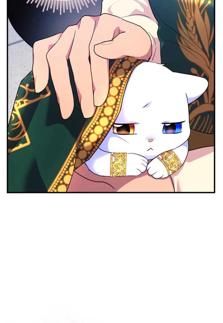 成为苏尔坦珍爱的猫咪 第15话 第16页