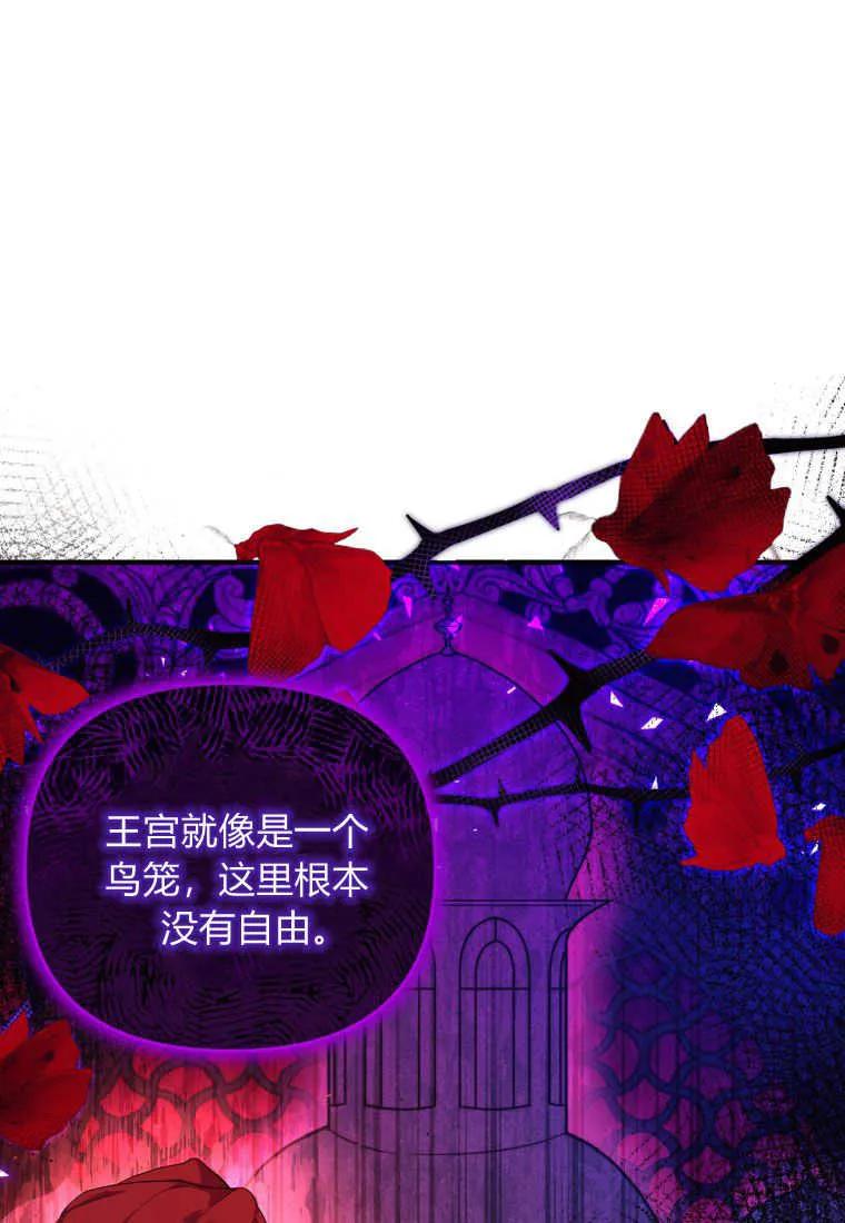 成为苏尔坦珍爱的猫咪 第15话 第20页