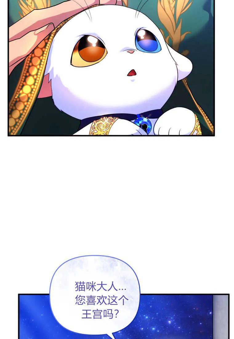 成为苏尔坦珍爱的猫咪 第15话 第12页