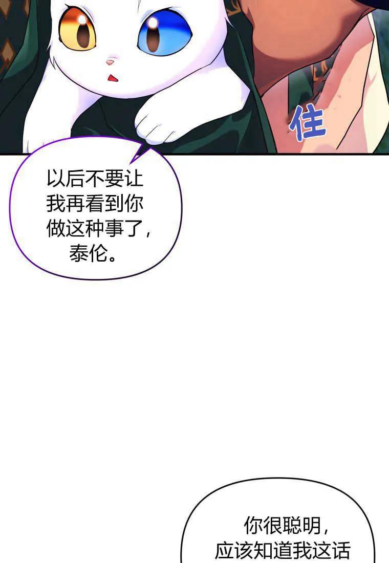 成为苏尔坦珍爱的猫咪 第15话 第42页