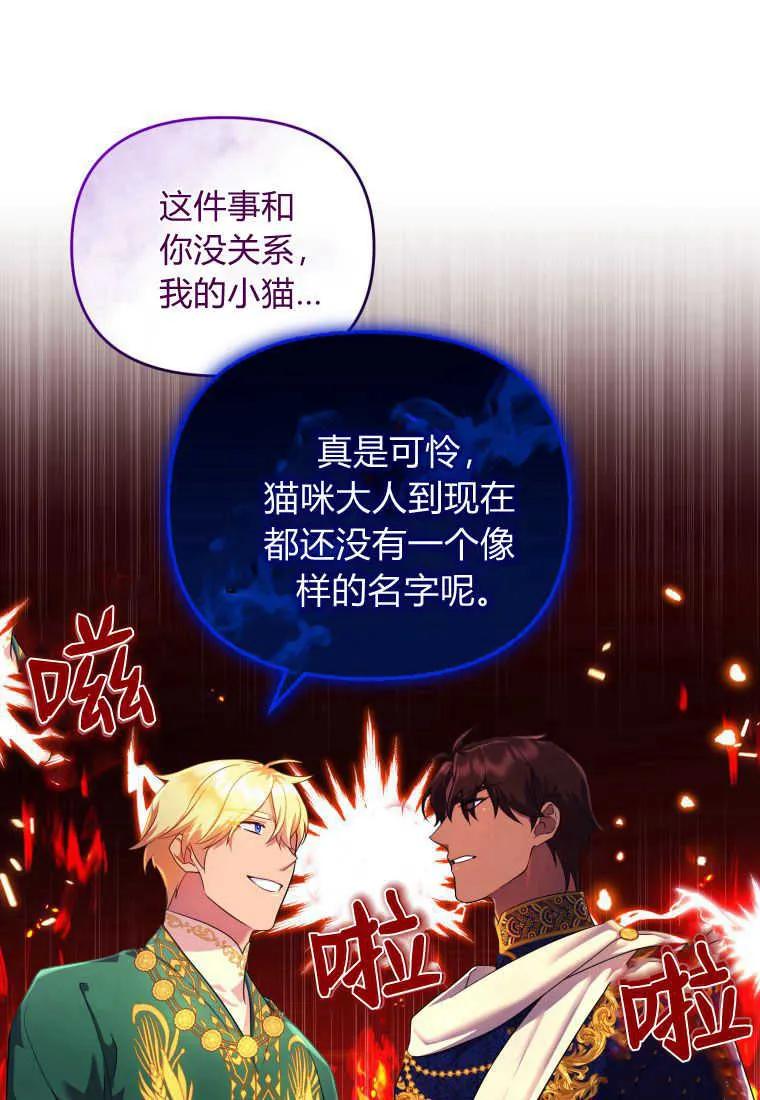 成为苏尔坦珍爱的猫咪 第15话 第38页
