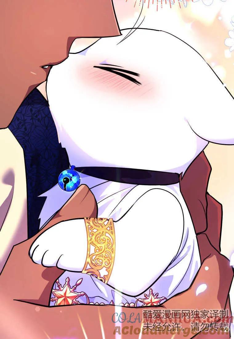 成为苏尔坦珍爱的猫咪 第15话 第61页