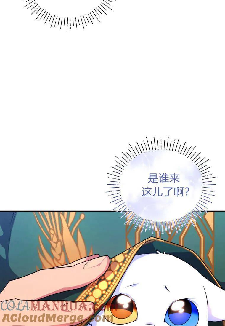 成为苏尔坦珍爱的猫咪 第15话 第5页
