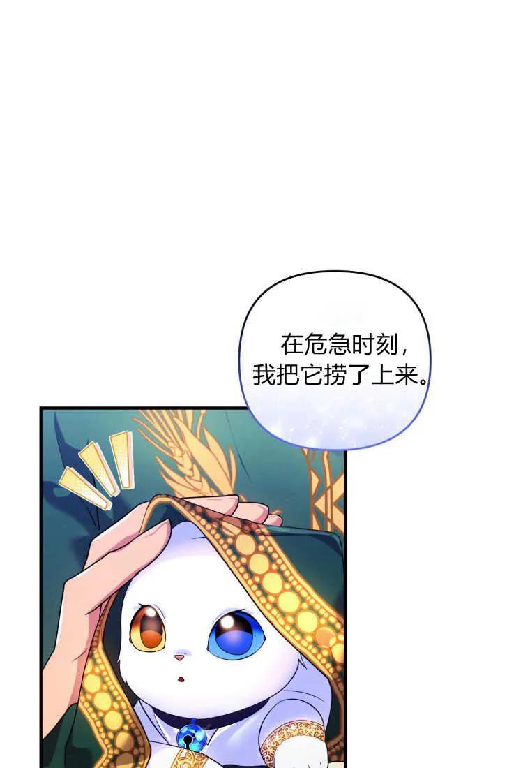 成为苏尔坦珍爱的猫咪 第15话 第32页