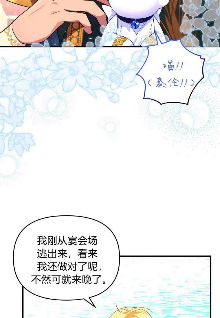 成为苏尔坦珍爱的猫咪 第15话 第8页