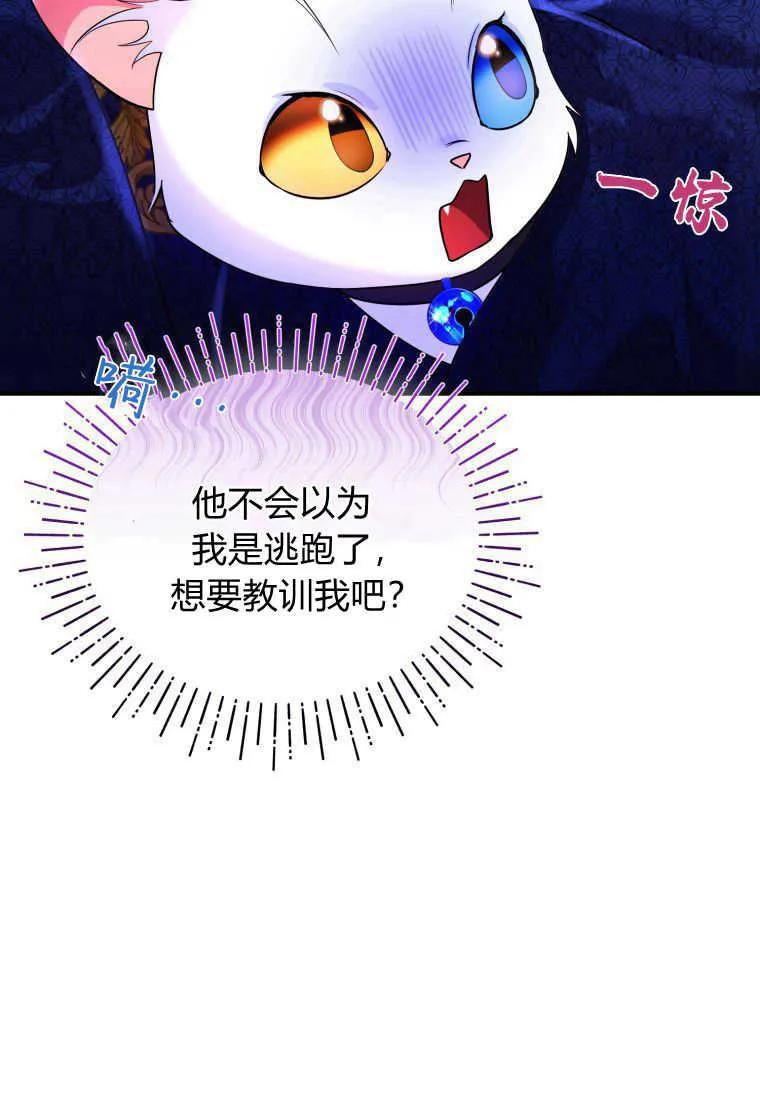 成为苏尔坦珍爱的猫咪 第15话 第50页