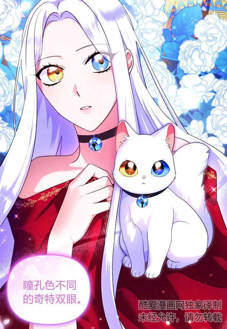 成为苏尔坦珍爱的猫咪 第15话 第54页