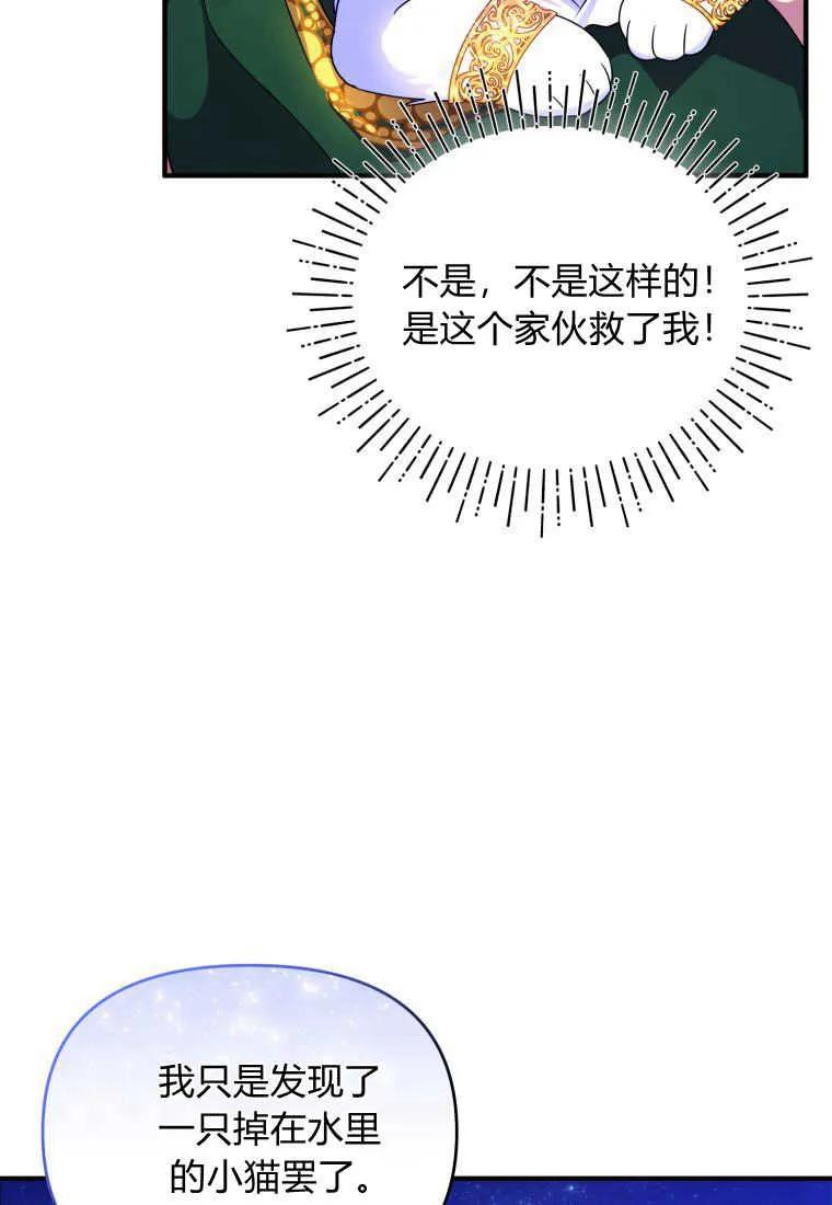 成为苏尔坦珍爱的猫咪 第15话 第30页