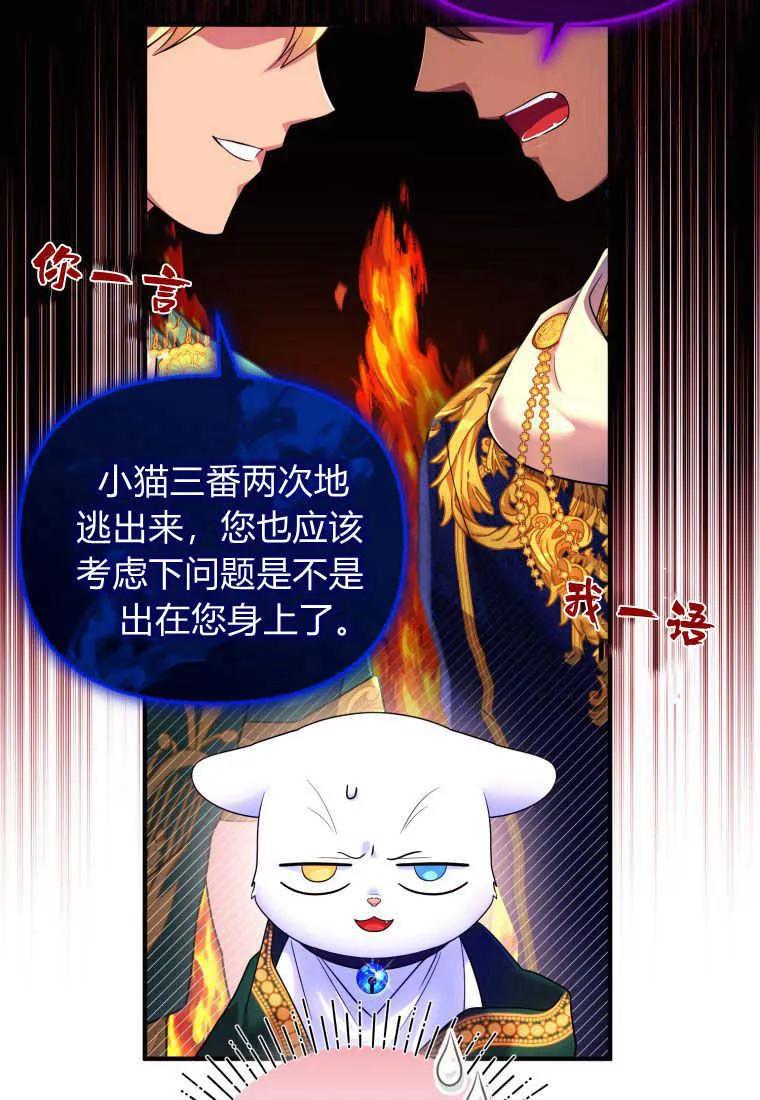 成为苏尔坦珍爱的猫咪 第15话 第40页
