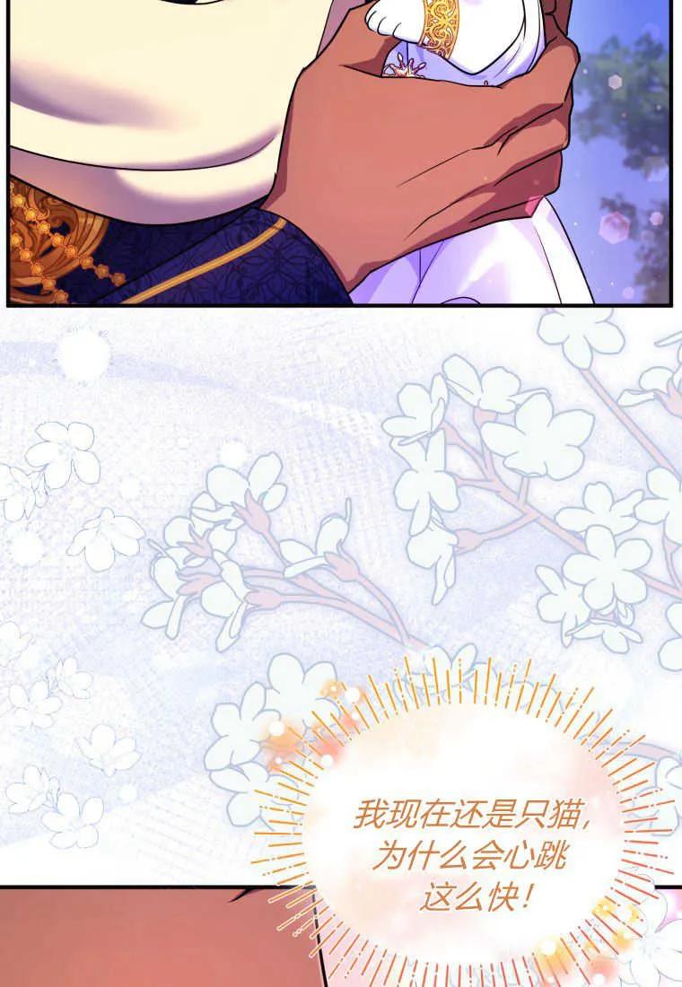 成为苏尔坦珍爱的猫咪 第15话 第60页