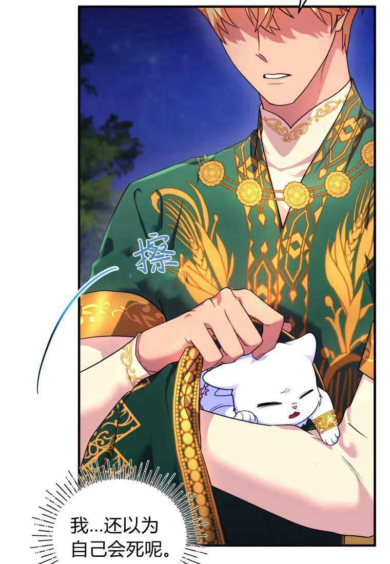 成为苏尔坦珍爱的猫咪 第15话 第4页