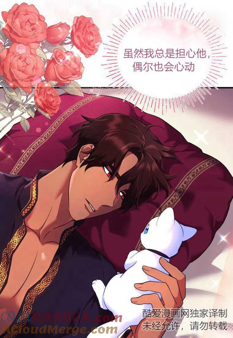 成为苏尔坦珍爱的猫咪 第15话 第17页