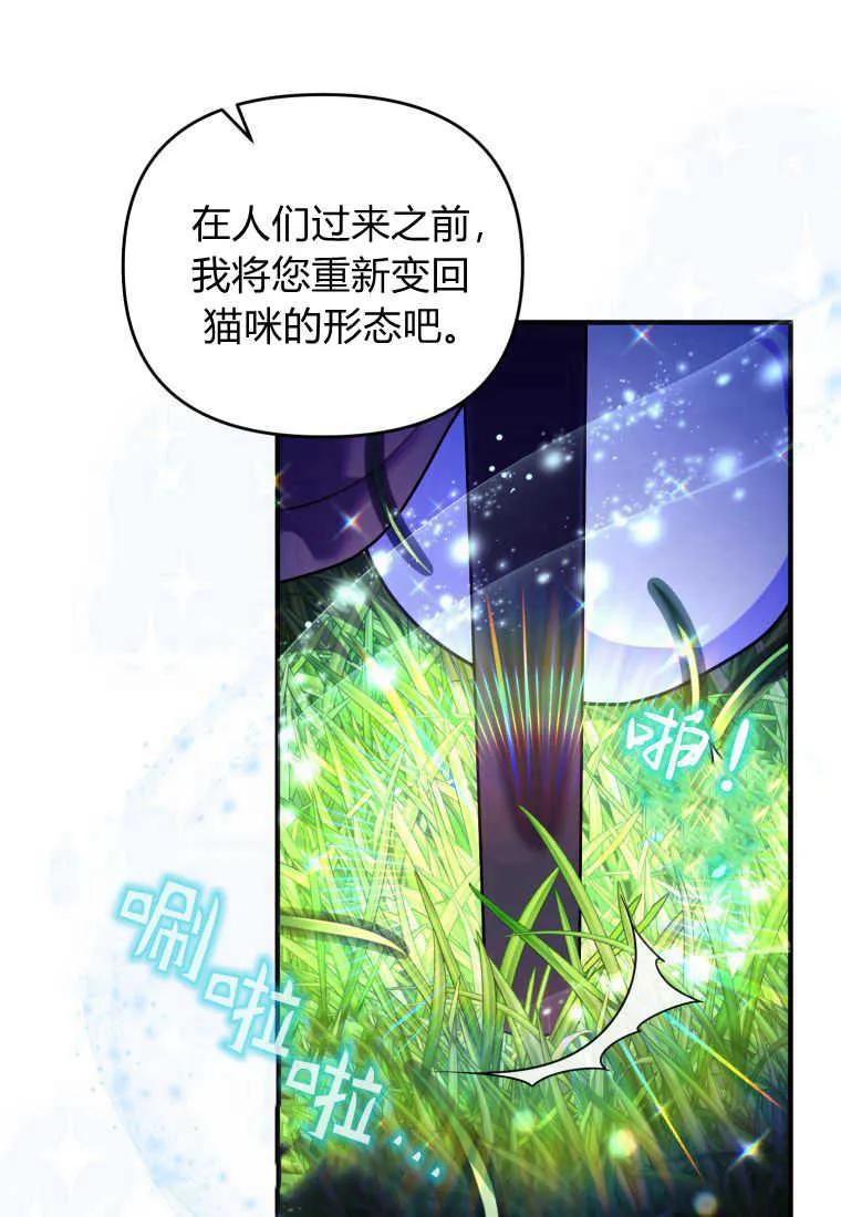 成为苏尔坦珍爱的猫咪 第15话 第96页