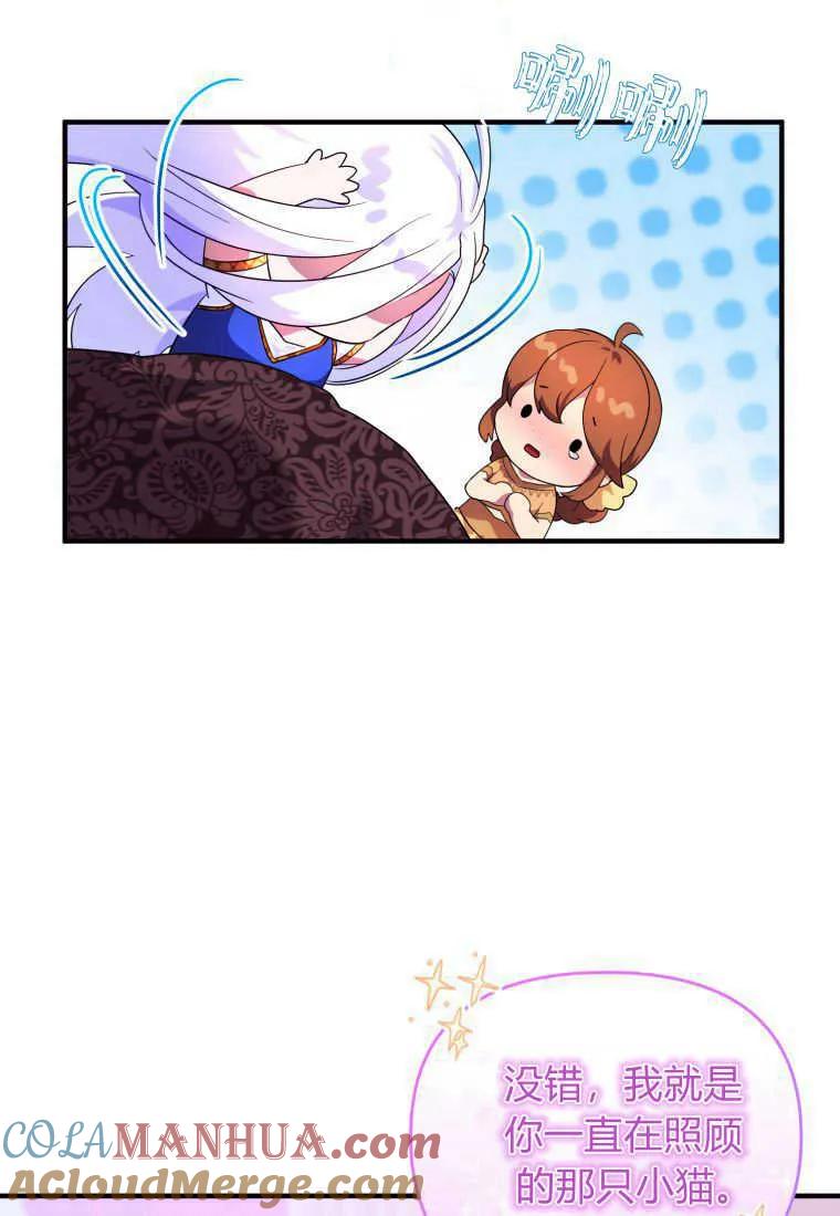 成为苏尔坦珍爱的猫咪 第16话 第37页
