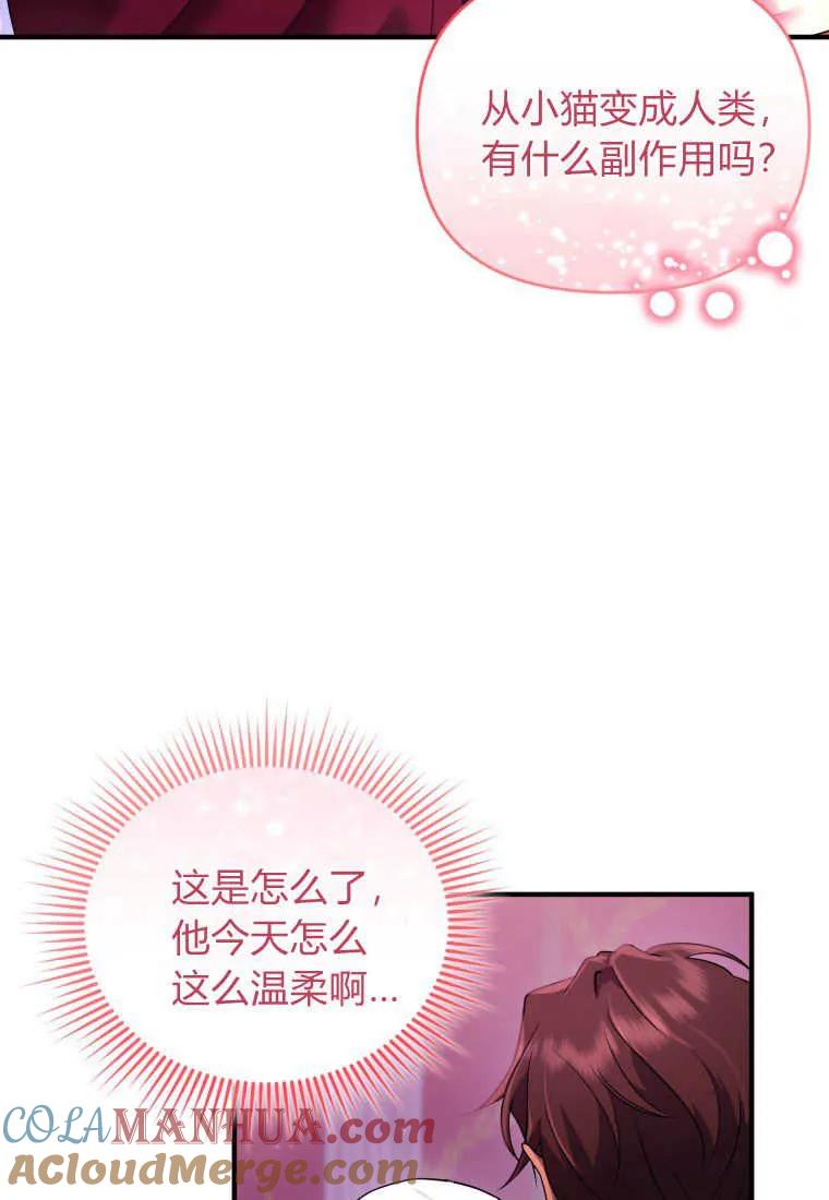 成为苏尔坦珍爱的猫咪 第16话 第13页