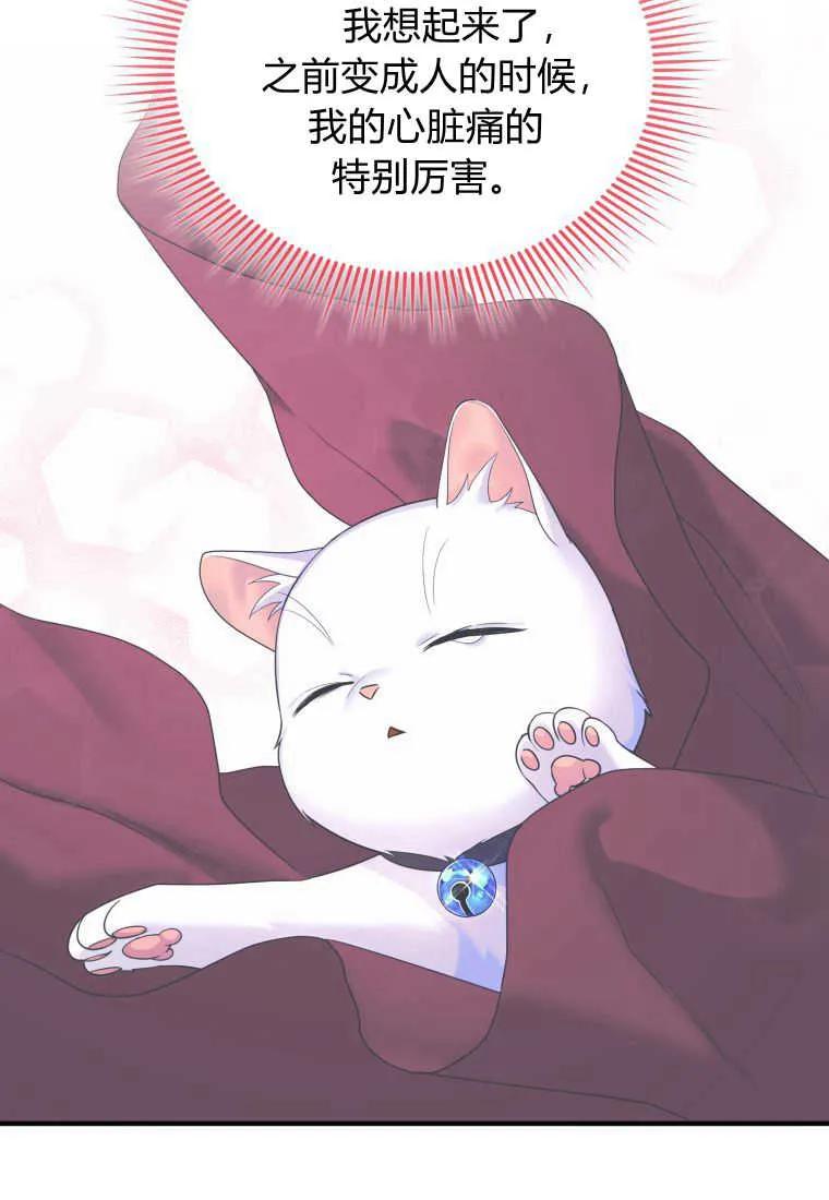 成为苏尔坦珍爱的猫咪 第16话 第15页