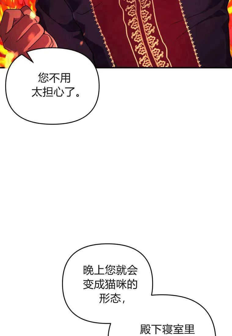 成为苏尔坦珍爱的猫咪 第16话 第71页