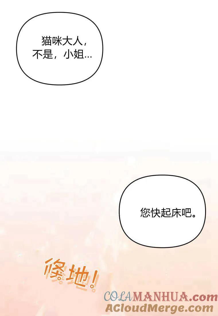成为苏尔坦珍爱的猫咪 第16话 第33页