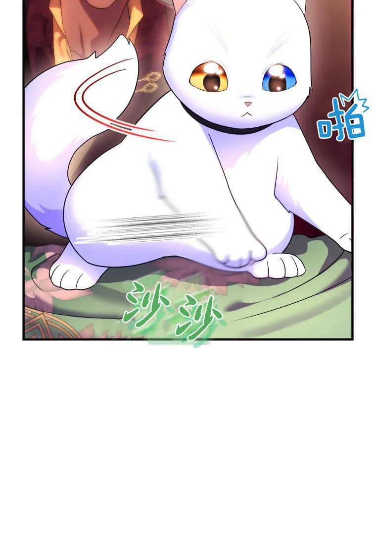 成为苏尔坦珍爱的猫咪 第17话 第88页