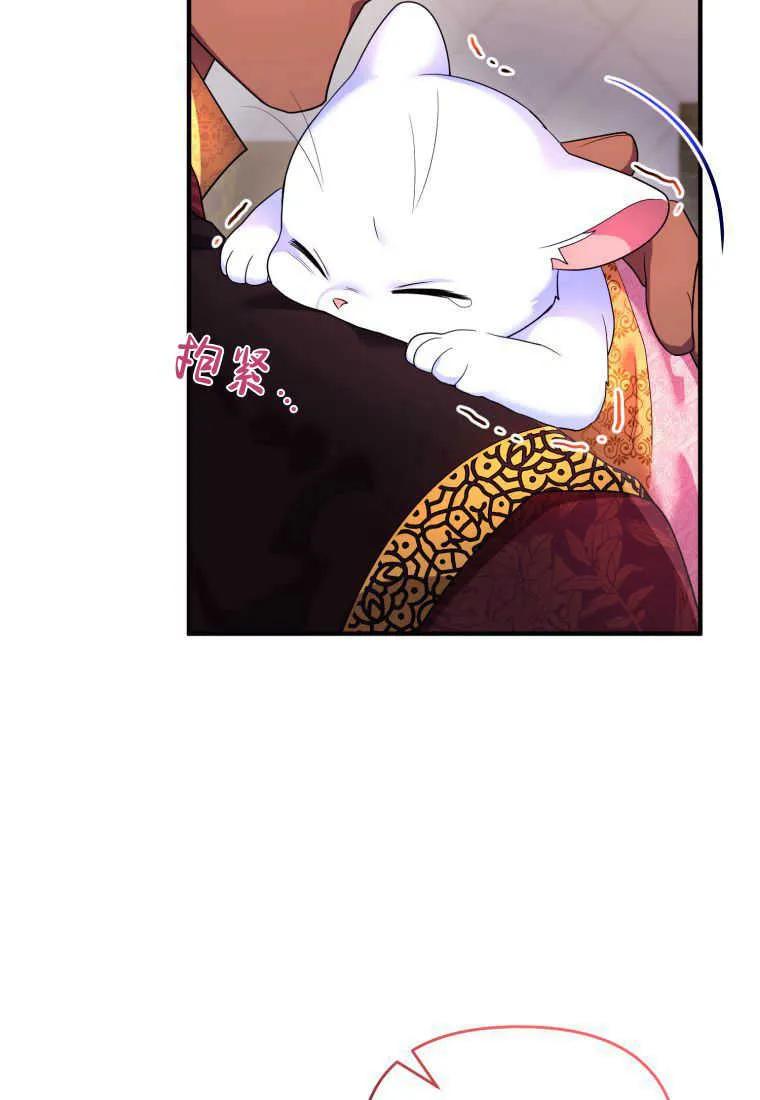 成为苏尔坦珍爱的猫咪 第17话 第63页