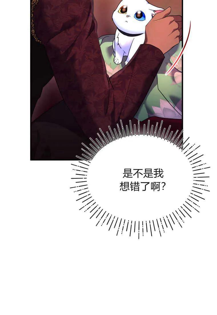 成为苏尔坦珍爱的猫咪 第17话 第82页