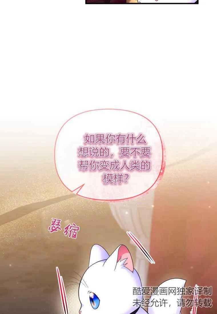 成为苏尔坦珍爱的猫咪 第17话 第75页