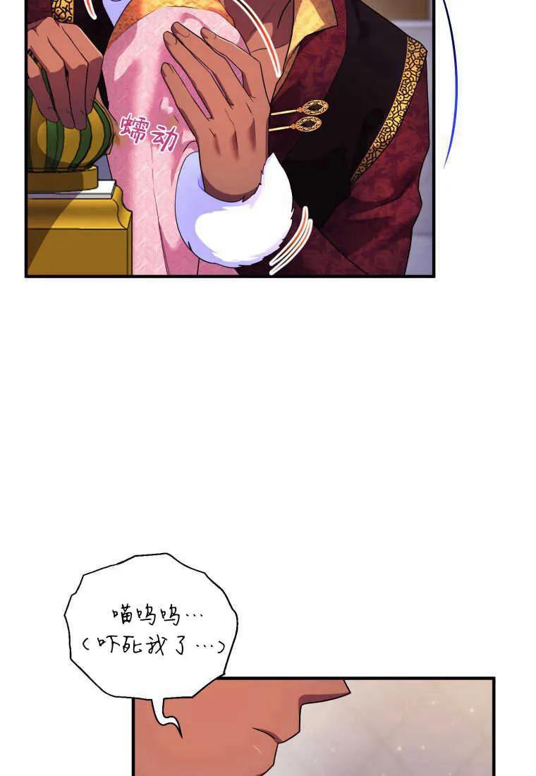成为苏尔坦珍爱的猫咪 第17话 第62页