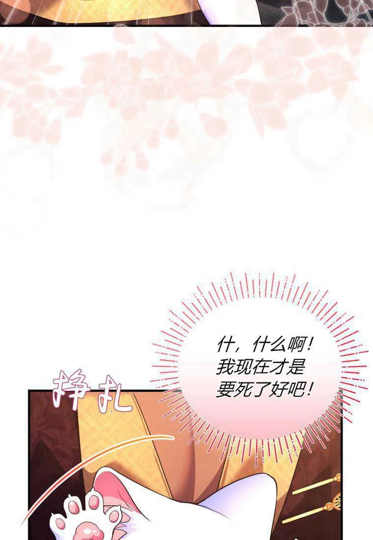 成为苏尔坦珍爱的猫咪 第17话 第96页