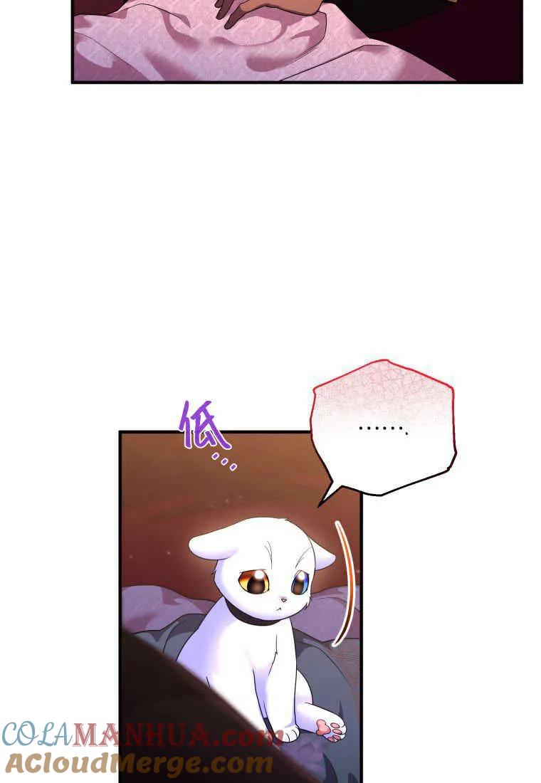 成为苏尔坦珍爱的猫咪 第17话 第69页