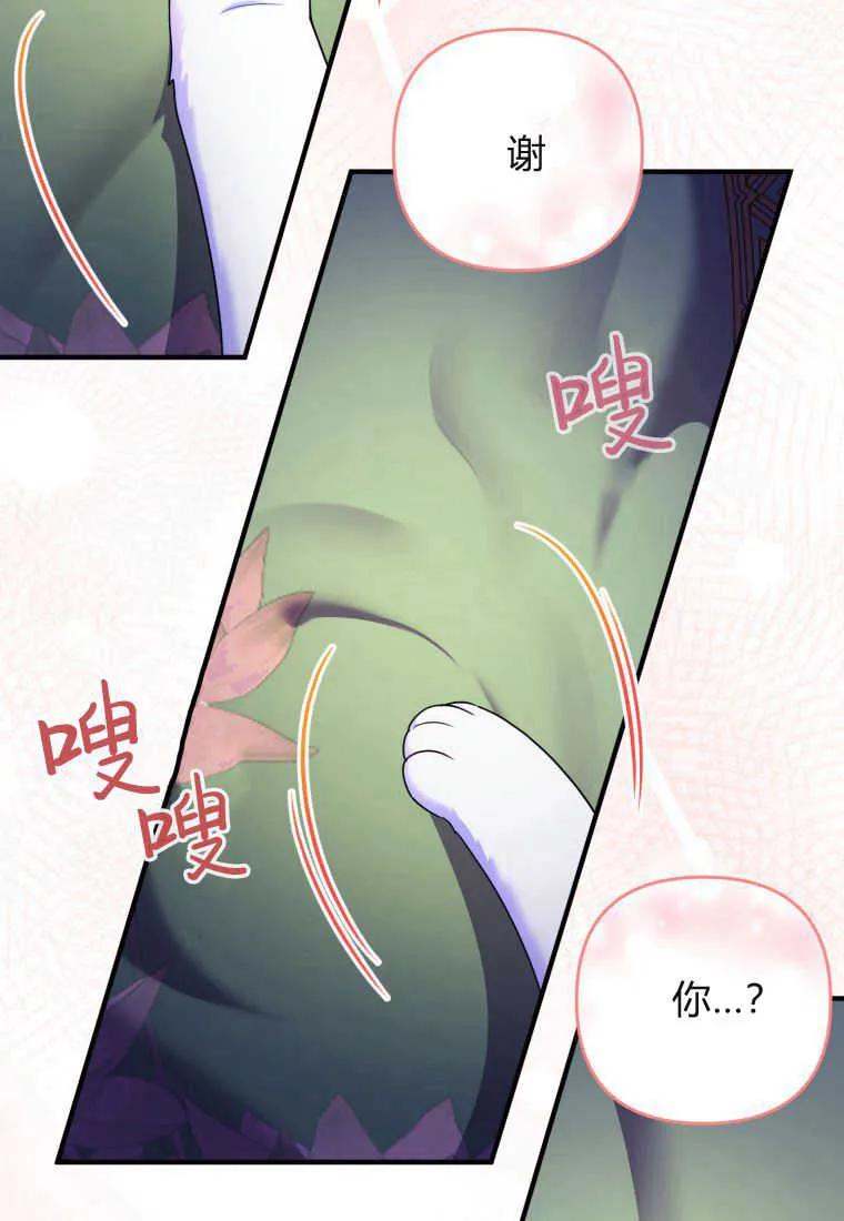 成为苏尔坦珍爱的猫咪 第17话 第91页