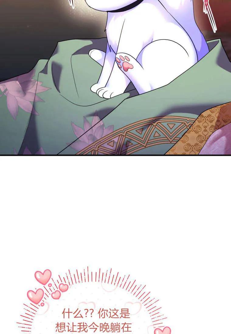 成为苏尔坦珍爱的猫咪 第17话 第76页
