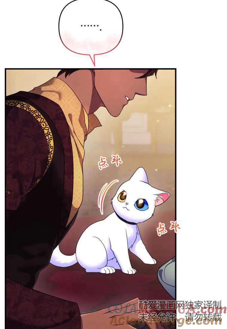 成为苏尔坦珍爱的猫咪 第17话 第93页