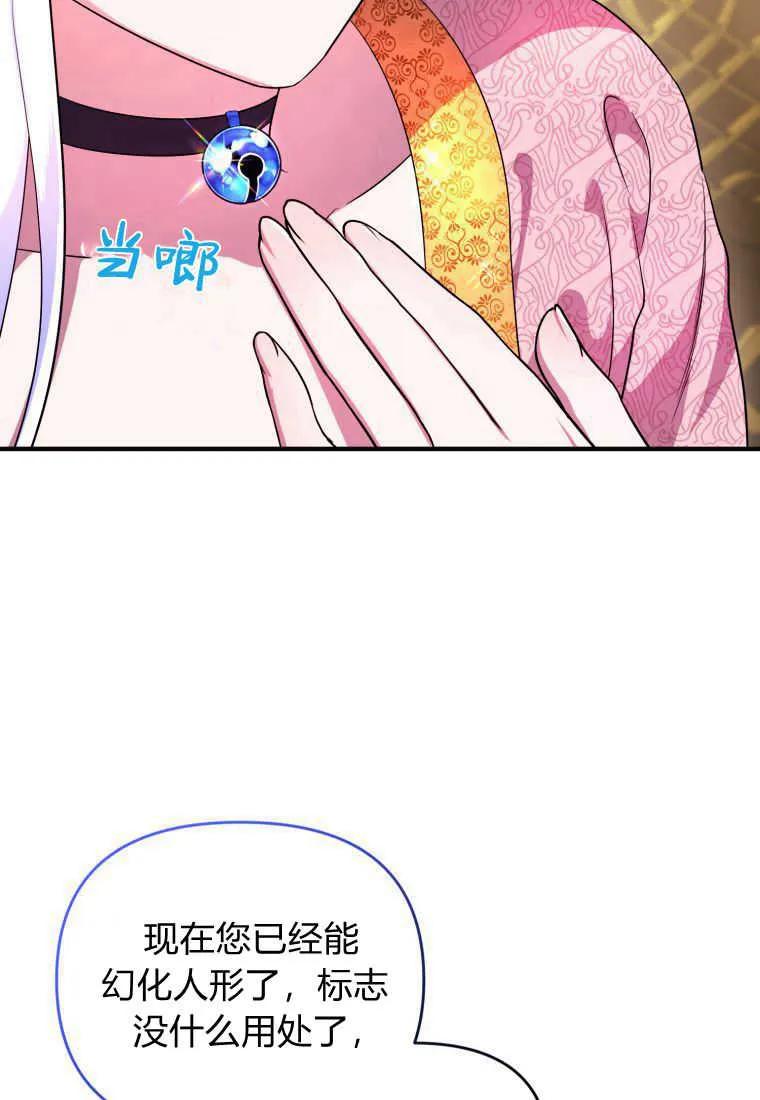 成为苏尔坦珍爱的猫咪 第17话 第12页