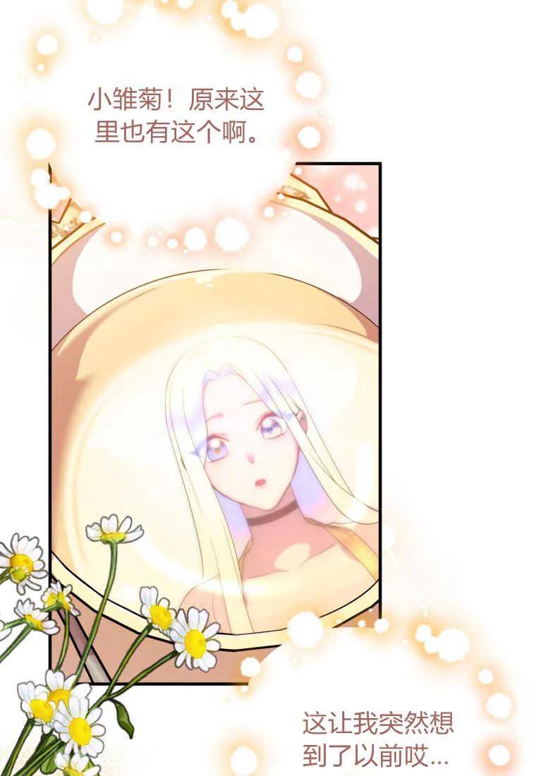 成为苏尔坦珍爱的猫咪 第17话 第24页
